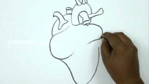 Drawing Heart Trick Art Online How to Draw A Human Heart Youtube