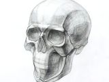 Drawing Human Skull Anatomy D D N N D D Do N Dµn Dµd D N D N N D D Do N Dµn Dµd N D D N N Dµn N D D N N D D D D D Do