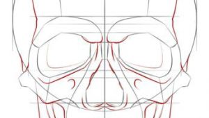 Drawing Human Skull Tutorial How to Draw A Human Skull Step by Step Drawing Tutorials for Kids