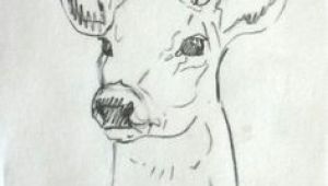 Drawing Ideas Deer 199 Best Deer Sketches Images Deer Sketch Deer Drawing