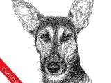 Drawing Ideas for Dogs Digital Dog Sketch by Zileart Dog Sketches Pinterest