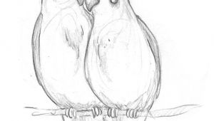 Drawing Ideas for Noobs Image Result for Drawing Ideas for Beginners Birds Pencil