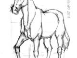 Drawing Ideas Horses Horse Drawing Google Search Horses