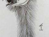 Drawing Ideas In Pen Ostrich Miscellaneous Ideas In 2018 Drawings Art Art Drawings