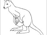 Drawing Ideas Kangaroo Wallaby Google Search Line Drawings for Literacy Kangaroo