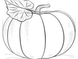 Drawing Ideas On Pumpkins 213 Best How to Draw Halloween Scary Drawing Ideas for Kids Images