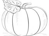 Drawing Ideas On Pumpkins 57 Best Fall Drawings Images Paintings Foxes Sketches