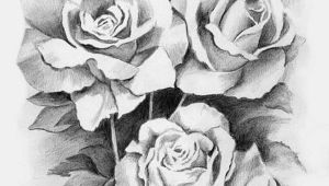 Drawing Ideas Roses Drawing Library Drawing Sketch Pencil Arts and Craft Ideas