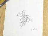 Drawing Ideas Turtle 235 Best Drawings Images In 2019 Drawing Ideas Pencil Drawings