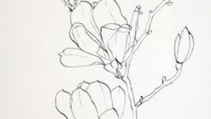 Drawing Images Of Different Flowers 61 Best Art Pencil Drawings Of Flowers Images Pencil Drawings