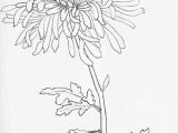 Drawing Japanese Flowers Chrysanthemum Engineer Print Artspiration Drawings Art
