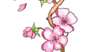 Drawing Jasmine Flowers Pin by Marvin todd On Drawing Flowers In 2019 Pinterest Drawings