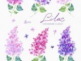Drawing Lilac Flowers Lilac Watercolor Clipart Card Floral Elements Wedding Invitation