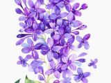 Drawing Lilac Flowers Pin by Barbara Lackenbauer On Flowers Pinterest Flowers