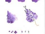 Drawing Lilac Flowers Step by Step How to Paint Purple Lilac Flowers Painting Tutorial