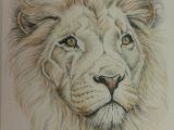 Drawing Lion Eyes Lion In Watercolour Pencil Sketchbooks Pinterest Drawings