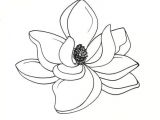 Drawing Magnolia Flowers Pin by Arch On Flower Drawing In 2019 Drawings Magnolia Tattoo