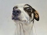 Drawing My Dog Maggie 789 Best Dogs In Art Images In 2019 Dog Portraits Dog Paintings