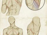 Drawing Neck Muscles Pin by Trex Guts06 On Reference In 2018 Pinterest Drawings