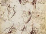 Drawing Neck Muscles Shoulder and Neck 3 Leonardo Da Vinci In 2018 Leonardo Da