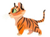 Drawing Of A Baby Cat Daily Cat Drawings orange Cat Obsession In 2018 Pinterest