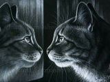 Drawing Of A Baby Cat Reflection Cats Cats Cat Art Cat Drawing