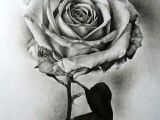 Drawing Of A Beautiful Rose Pin by Crystals Hutt On Flower Plants Drawings In 2019 Drawings