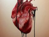 Drawing Of A Bleeding Heart 114 Best Draw Images Drawings Fish Fish Art