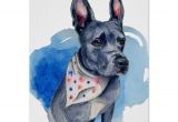 Drawing Of A Blue Dog Blue Nose Pit Bull Dog Watercolor Painting Poster at Zazzle Com