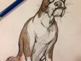 Drawing Of A Boxer Dog Boxer Dog Character Design Doodle Art Character Design Animal