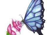 Drawing Of A butterfly On A Rose butterfly Drawings In Color butterfly Rose by Evolra Traditional