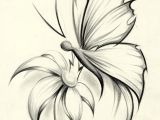 Drawing Of A butterfly On A Rose butterfly Flower by Davepinsker On Deviantart Pictures In 2019