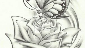 Drawing Of A butterfly On A Rose butterfly Pencil Drawing if It Were A Dragonfly It Would Be Perfect