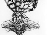 Drawing Of A butterfly On A Rose Drawings Of Flowers and butterflies My Drawing Of A butterfly by