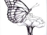Drawing Of A butterfly On A Rose Drawings Of Flowers and butterflies My Drawing Of A butterfly by