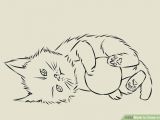 Drawing Of A Cat In A Basket 4 Ways to Draw A Kitten Wikihow