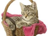 Drawing Of A Cat In A Basket 50 Best Printable Cats Images On Pinterest Cats Cat Art and Draw
