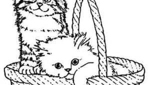 Drawing Of A Cat In A Basket Claire Arte Mania E Cia Riscos Para Bolsas Camisetas