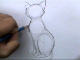 Drawing Of A Cat Laying Down How to Draw A Basic Cat Sitting Youtube