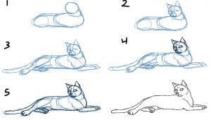 Drawing Of A Cat Laying Down How to Draw Cat Bodies In Poses Savanna Williams Drawing