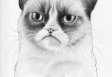 Drawing Of A Cat Sleeping Grumpy Cat She who Sleeps with Cats Pinterest Grumpy Cat Cats