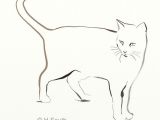 Drawing Of A Cat Tail How to Draw and Sketch Cats