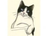 Drawing Of A Cat Walking 2291 Best Cat Drawings Images Cat Art Drawings Cat Illustrations