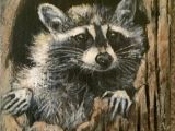 Drawing Of A Cute Raccoon Raccoon Acrylic On Barn Wood My Paintings In 2019 Painting On