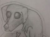 Drawing Of A Dog Bone Dog with Bone Pencil Drawing Illustration Pinterest Dogs