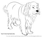 Drawing Of A Dog Step by Step Easy to Draw Dogs Step by Step May Od Petkovica Prslide Com
