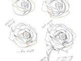 Drawing Of A Dozen Roses 81 Best How to Draw Roses Images Draw Animals Drawing Techniques