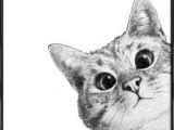 Drawing Of A Fluffy Cat 204 Best Cats Images Funny Animals Funny Cats Fluffy Animals