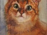 Drawing Of A Fluffy Cat 626 Best Artistic Ginger Cat Love Images Ginger Cats Cat Drawing