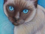 Drawing Of A Fluffy Cat original Siamese Cat Art Colored Pencil by Artbylisamnelson Art